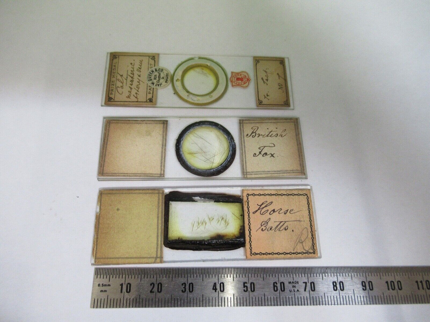 ANTIQUE PREPARED SLIDES 1800's SPECIMENS MICROSCOPE PART AS PIC  12-dt-a3