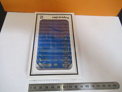 PREPARED SLIDES SPECIMEN SAMPLES JAPAN CCP MICROSCOPE PART AS PICTURED P3-A-106