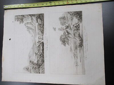 ANTIQUE ETCHING ITALIA ROME CIRCA 1810 GASPARD DUGHET PIETRO PARBONI AS PIC viii