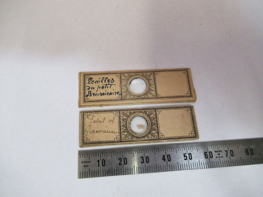 ANTIQUE VICTORIAN PREPARED SLIDE PAIR LONDON MICROSCOPE PART AS PICTURED F8-A-27