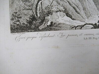 ANTIQUE ETCHING ITALIA ROME CIRCA 1810 GASPARD DUGHET PIETRO PARBONI AS PIC xii