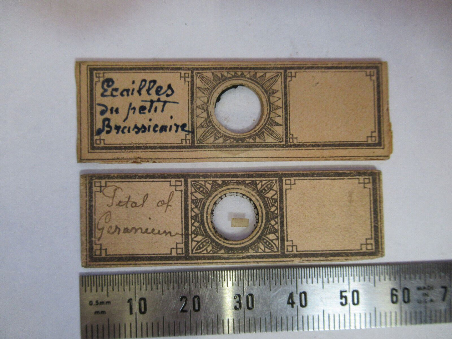 ANTIQUE VICTORIAN PREPARED SLIDE PAIR LONDON MICROSCOPE PART AS PICTURED F8-A-27