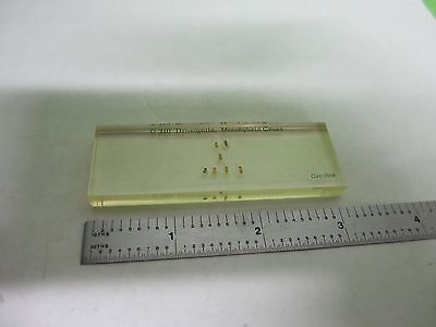 MICROSCOPE SPECIMEN SLIDE DROSOPHILA BIN#25-14-15