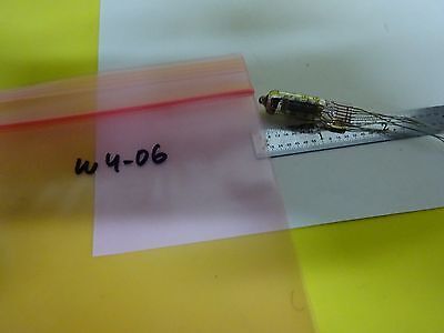 VACUUM TUBE RUSSIAN 8505 TETRODE ?? PENTODE ?? RECEIVER TV RADIO  BIN#W4-06