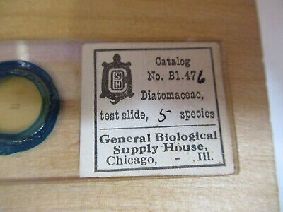 ANTIQUE PREPARED SLIDE DIATOMACEAE + WOOD CASE MICROSCOPE AS PICTURED 4B-FT-18