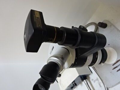 EDMUNDS SCIENTIFIC WILD M7 HEERBRUGG SWISS MADE OPTICAL STEREO MICROSCOPE + LAMP