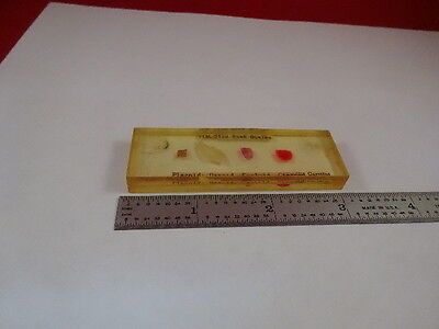 VINTAGE FISH SCALES TYPES SPECIMEN OPTICS PART AS PICTURED &H1-C-10