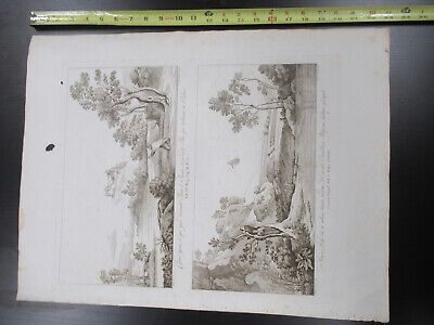 ANTIQUE ETCHING ITALIA ROME CIRCA 1810 GASPARD DUGHET PIETRO PARBONI AS PIC xi