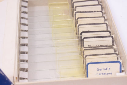 Vintage ATCO Prepared Microscope Slides No. 1382-B Bacteria