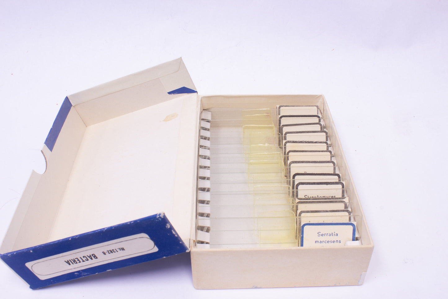 Vintage ATCO Prepared Microscope Slides No. 1382-B Bacteria